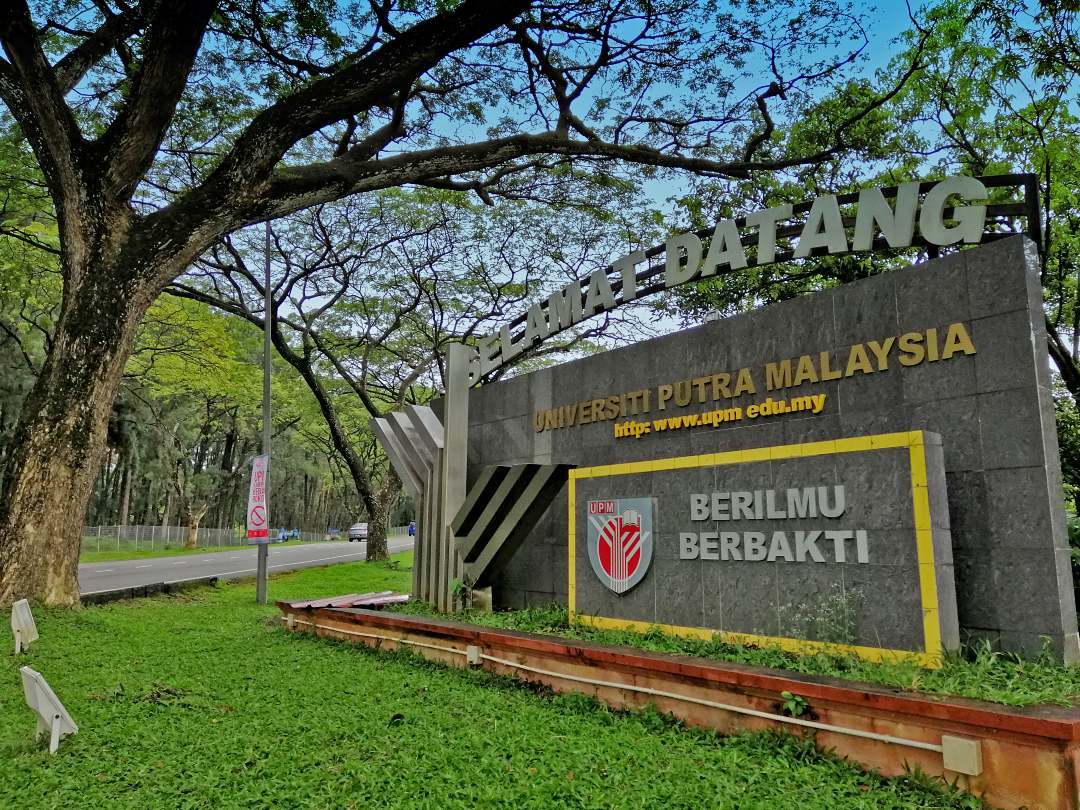 University image